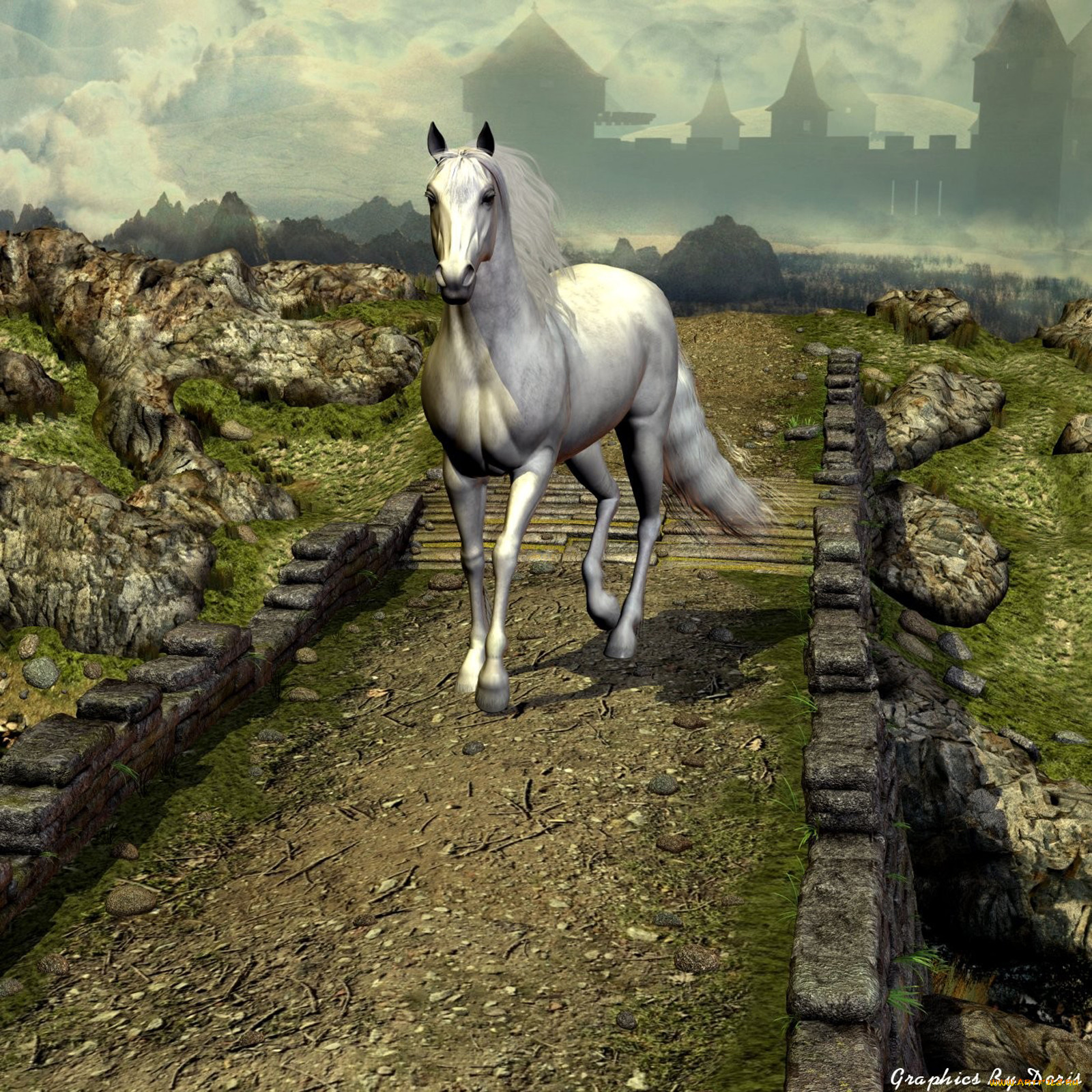 3, , animals, , 
